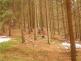 DSCN1114.JPG