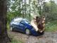 TP_skorosice_27-9-2012
