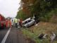 DN_zelec_2-10-2012
