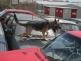 20130413_01n.jpg