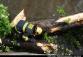 20130516A_Strom_Kostk02.JPG