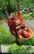 20130507A_Kostk_Jehla_17.JPG