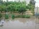 TP_ceska-ves_9-6-2013