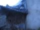 P_brodek_u_PV_12-6-2013