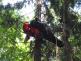 ZOZ_pteni_13-6-2013
