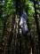 ZOZ_pteni_13-6-2013