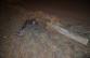 pchery/DSC_9454.jpg