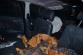 DN_Bustehrad/DSC_9609.jpg