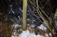 DN_Bustehrad/DSC_9630.jpg
