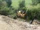 DN -  5.8.2014 - U D1 - 161 km 004.jpg