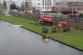 3 DSC00094.JPG