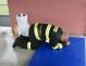 DSC08016.JPG