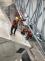 IMG-20191013-WA0007.jpg
