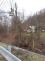 nalomeny_strom_Stara_Ves_BC_NJ_3.jpg