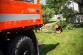 strom_potok_Bravantice_NJ_11.jpg