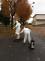 WhatsApp Image 2020-10-30 at 10.42.09.jpeg