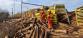 2022_01_14_nehoda_vlak_prosenice (1).jpeg