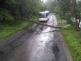 Strom_Tulešice_ZN.jpg