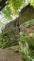 2025_06_06-Memorial_F (5).jpeg