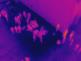 DJI_0036.JPG