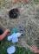 WhatsApp Image 2025-07-02 at 19.44.12.jpeg
