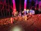 2025-11-12-Nehoda_hat (5).jpeg