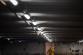 2026_02_13_Ptaci_chripka_Kosicky (7).jpeg