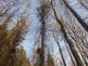 2026_03_07-Dopravni_nehoda_letecka_TP (2).jpeg
