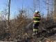 2026_03_14-Pozar_lesa_Navsi (3).jpeg