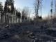 2026_03_14-Pozar_lesa_Navsi (12).jpeg