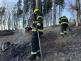 2026_03_14-Pozar_lesa_Navsi (15).jpeg