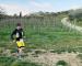 WhatsApp Image 2026-03-29 at 15.32.48(5).jpeg