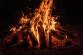 wal_172619-campfire-8081877_1920.jpg