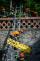 8_TC IZS Lysice_XT3B1862.jpg