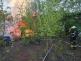 PLI_117T-2026_05_20-59d88860.jpeg