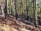 2026_07_29-P_CV_Prunéřov (2).jpeg