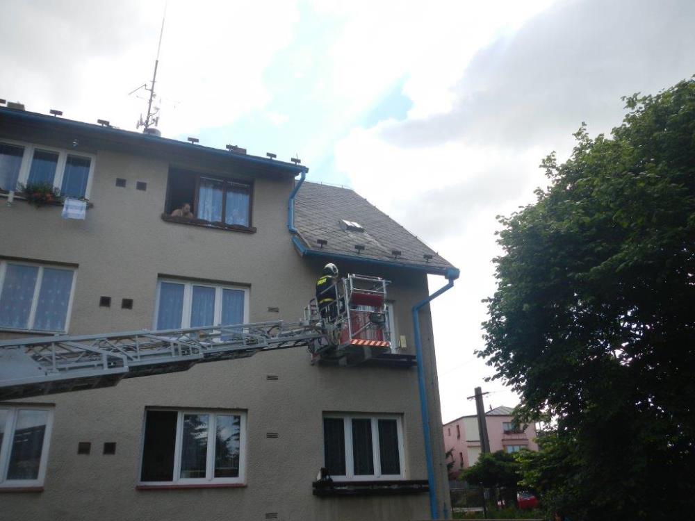  Záchrana kočky, Strunkovice nad Blanicí - 1. 7. 2016 (2).jpg