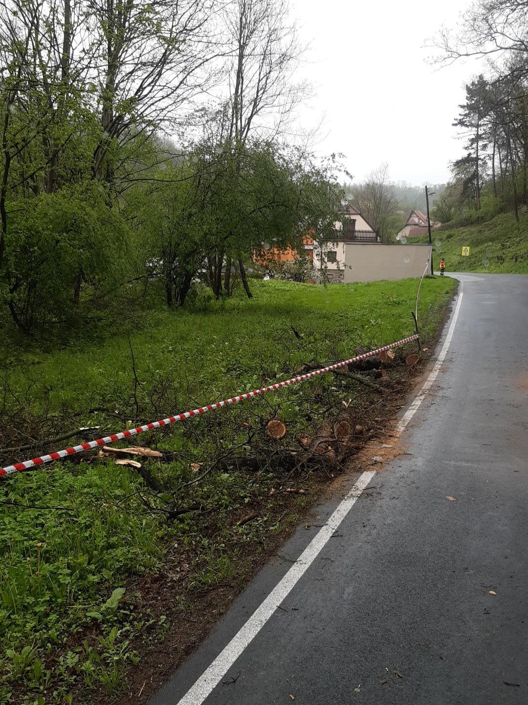 001 - strom zasahoval do vozovky, odstranili jej hasiči.jpg