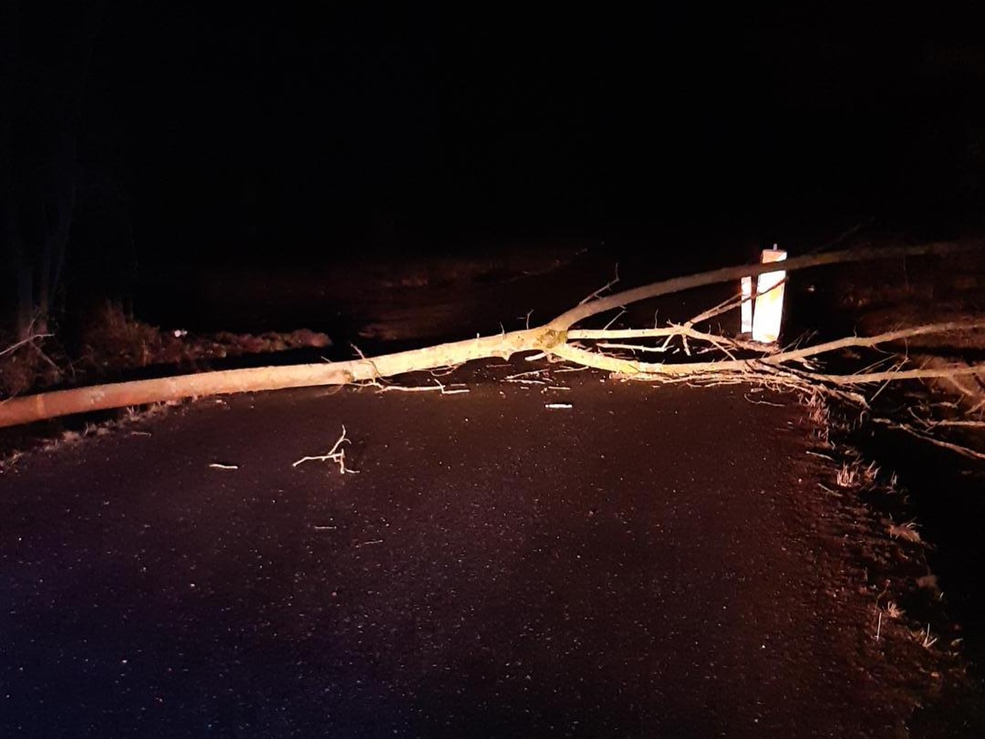 003-Padlý strom přes silnici na Příbramsku.jpg