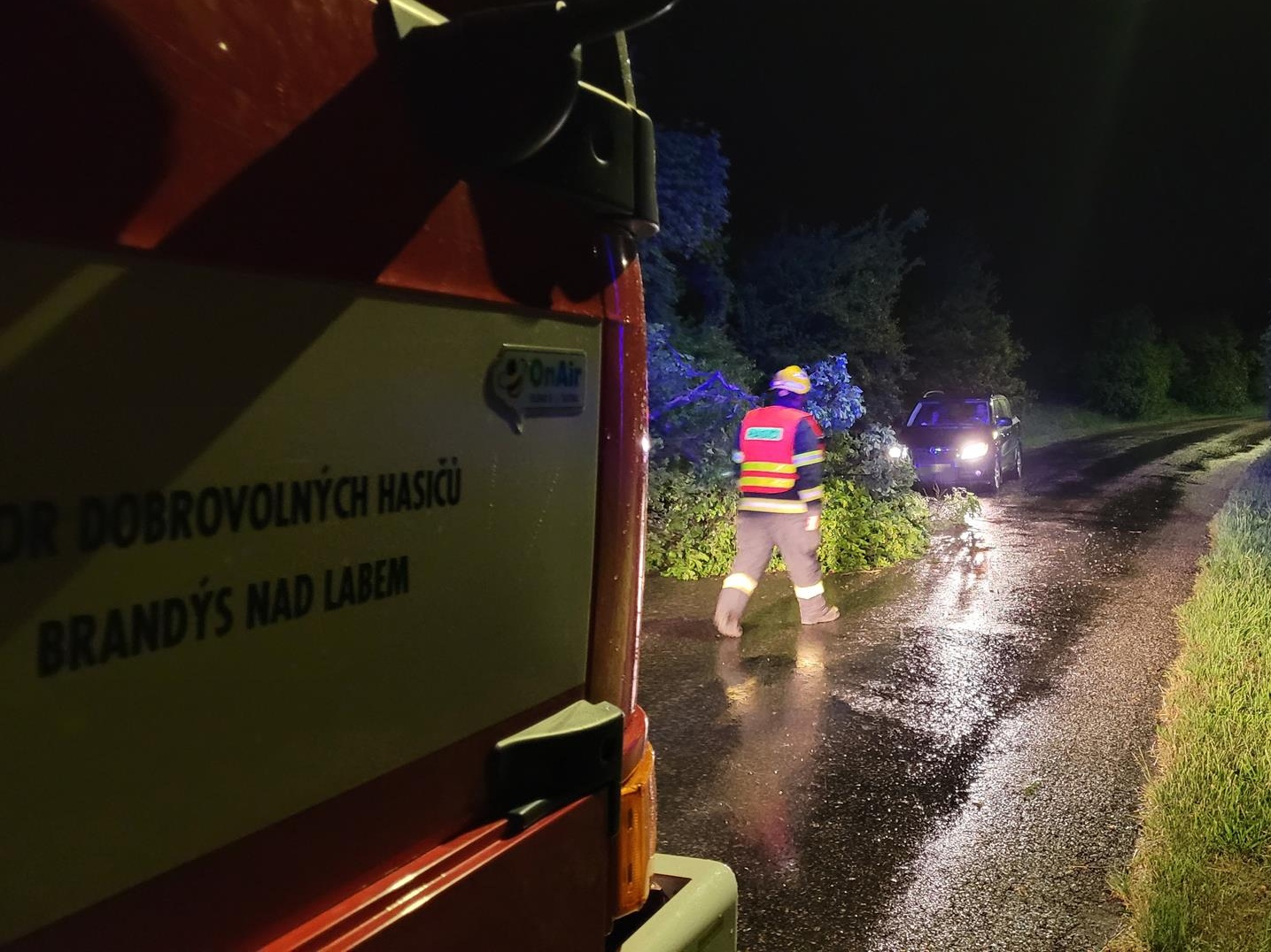 003 - padlý strom na pozemní komunikaci.jpg
