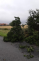 005 - vyvrácený strom - okres Kolín