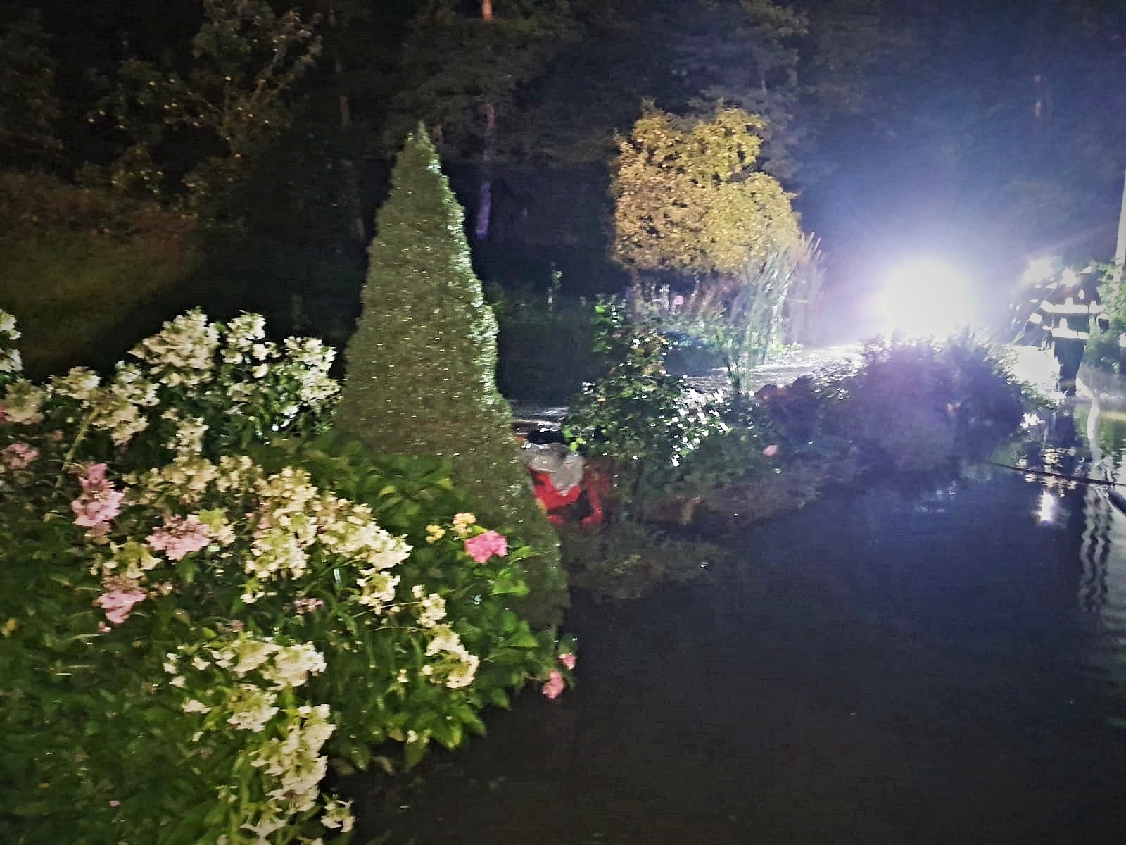 005.jpg