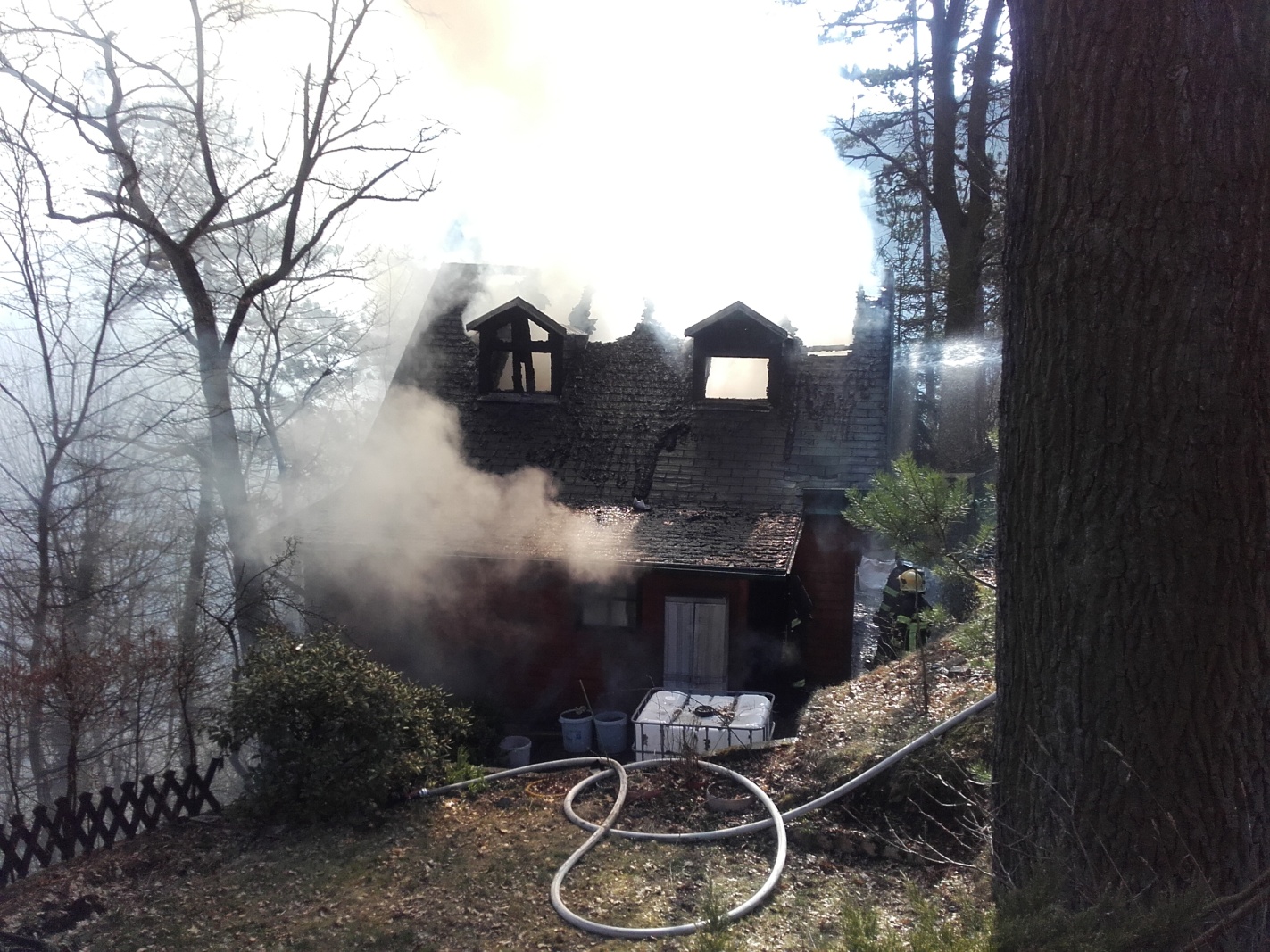 006.jpg
