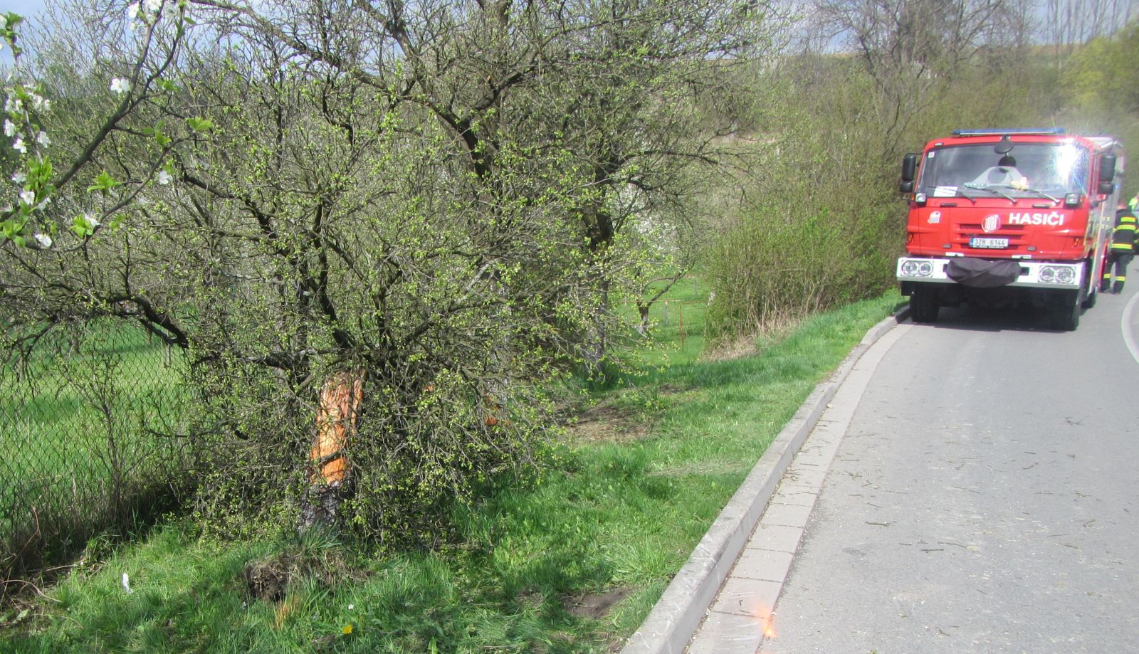 03.jpg