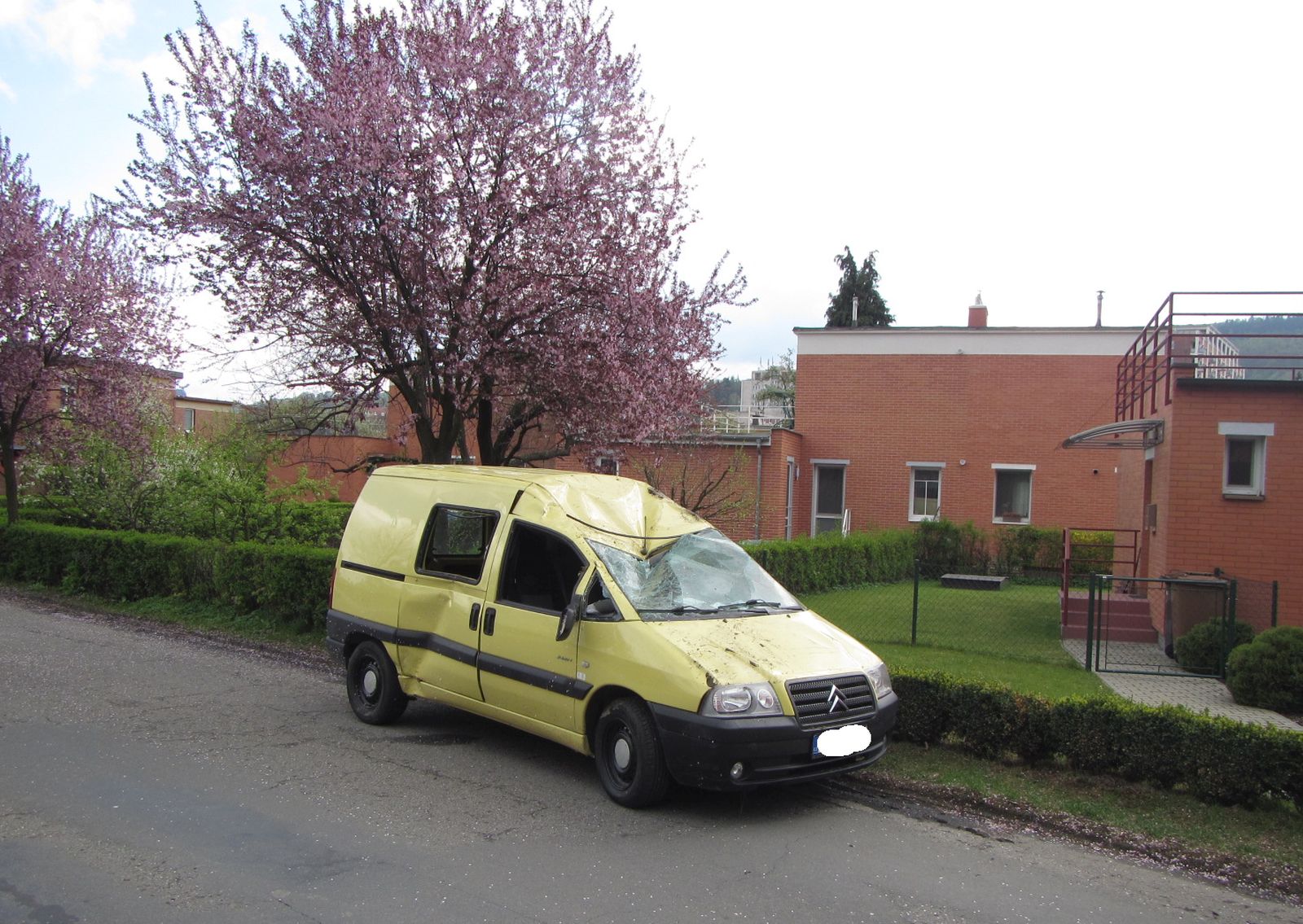05.jpg
