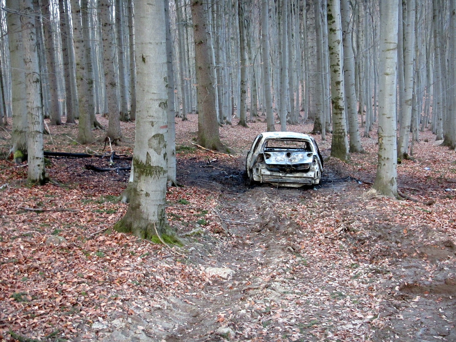 05.jpg
