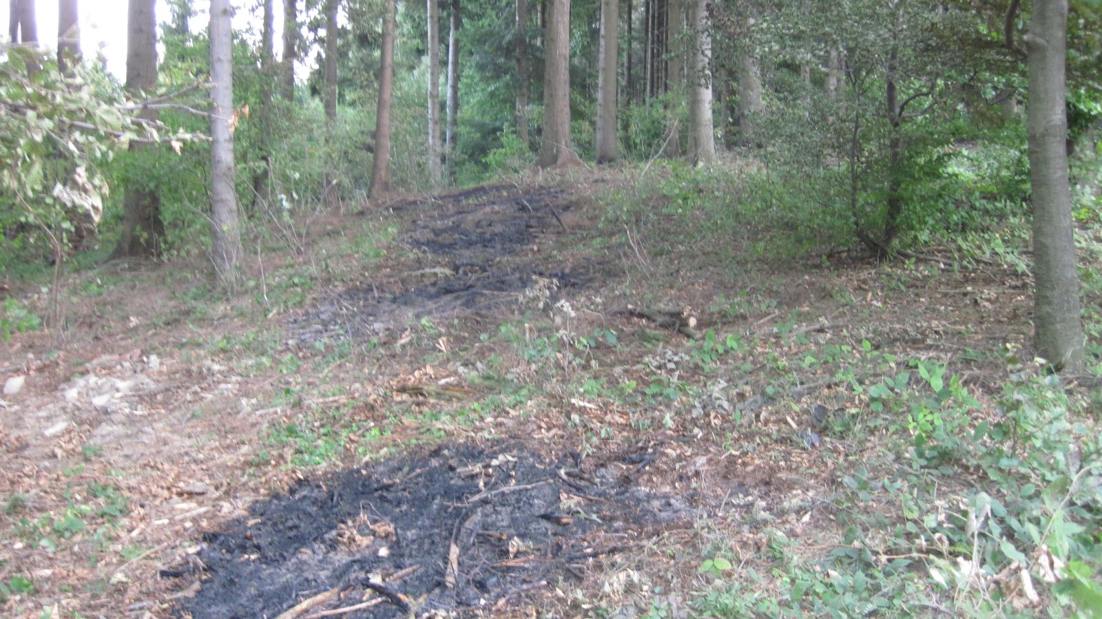 06.jpg