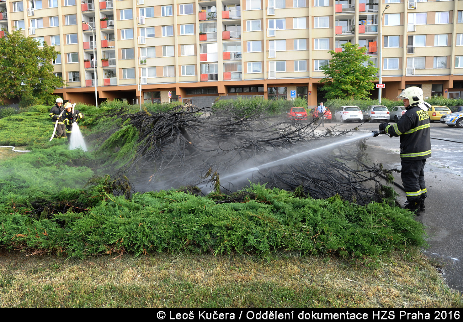 Likvidace požáru porostu, červen 2016, foto: HZS hl. m. Prahy