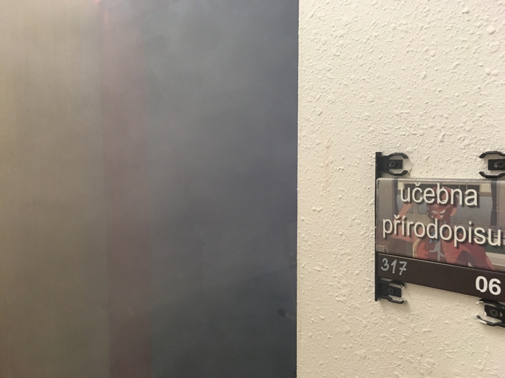 101