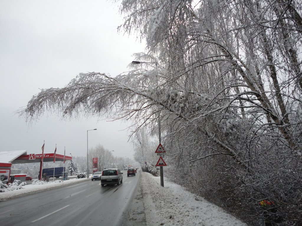13-03-19 HK směr Koliba.JPG